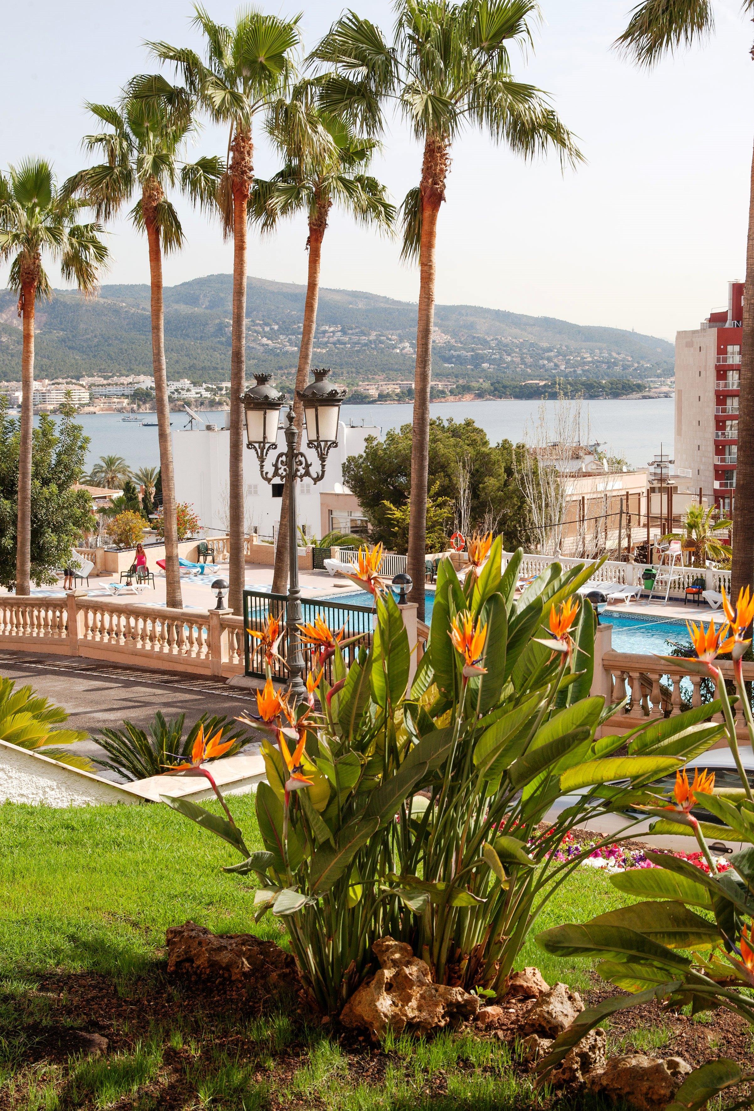 Cooks Club Calvia - Adults Only 4*